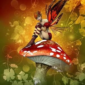 Meet your Posher, Kaye